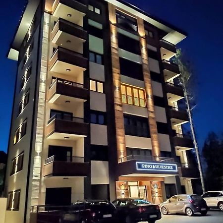 Vila Pino Silvestre Златибор Екстериор снимка